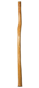 Gloss Finish Didgeridoo (TW1315)